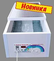 Инкубатор Норма ПК